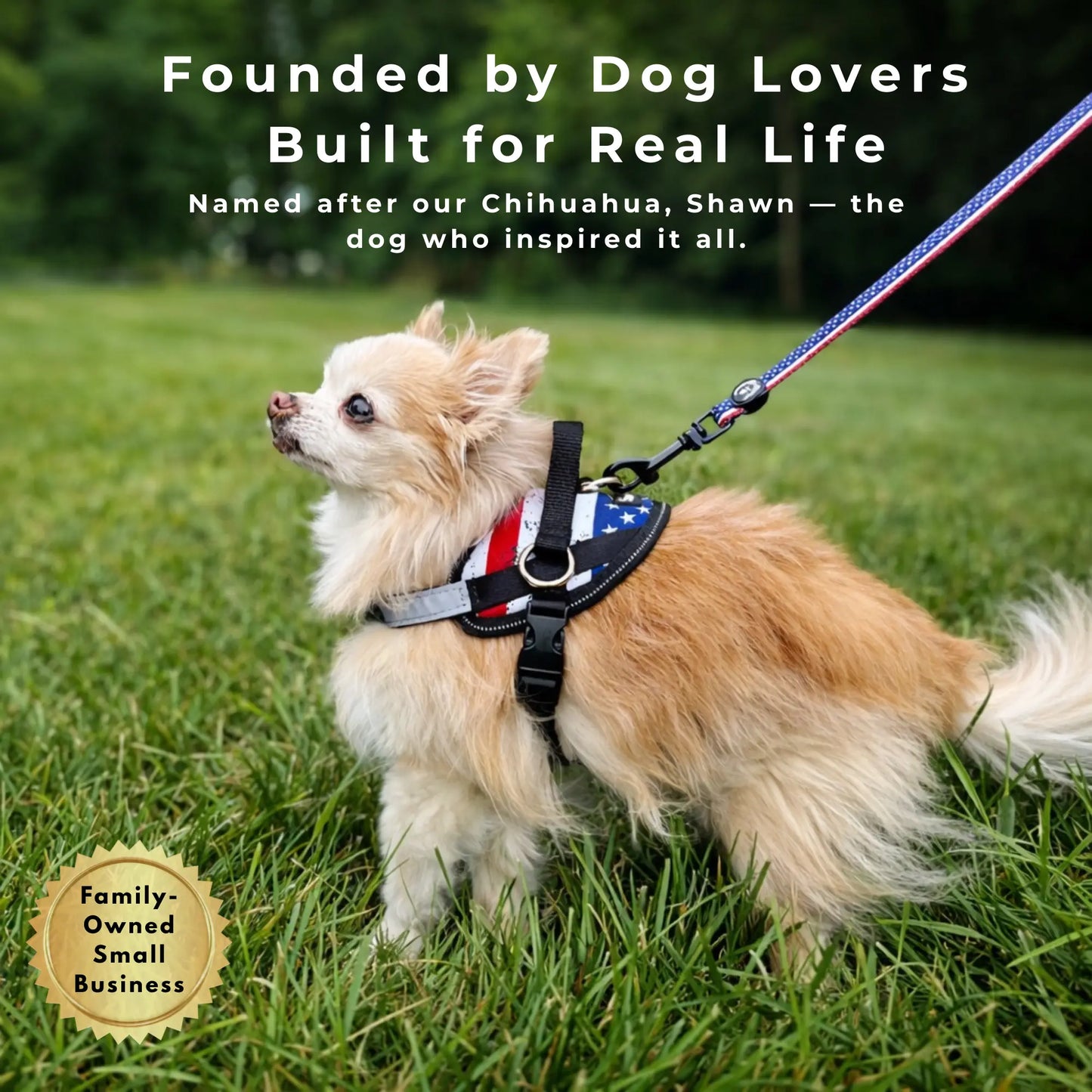 Essential Dog Harness with 3 Leash Clips