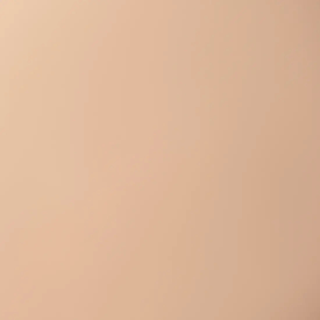 Skin Tint with Aloe, Niacinamide and Hyaluronic Acid