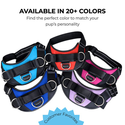 Essential Dog Harness with 3 Leash Clips