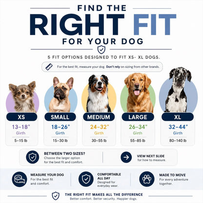 Essential Dog Harness with 3 Leash Clips