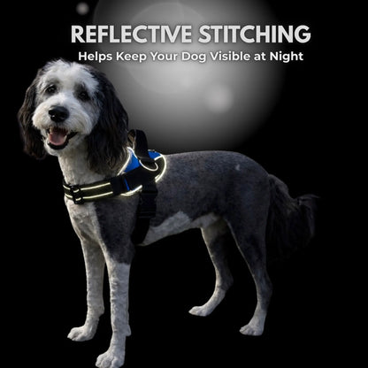 Essential Dog Harness with 3 Leash Clips