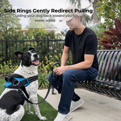 Essential Dog Harness with 3 Leash Clips