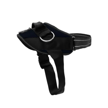 Essential Dog Harness with 3 Leash Clips